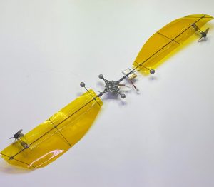 Biomimética: un dron aprende a volar gracias a las semillas de arce