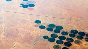 Se puede capturar CO2 ‘reverdeciendo’ desiertos