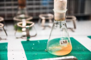 Avance para el campo de la bioelectrónica: bacterias que generan electricidad a partir de aguas residuales