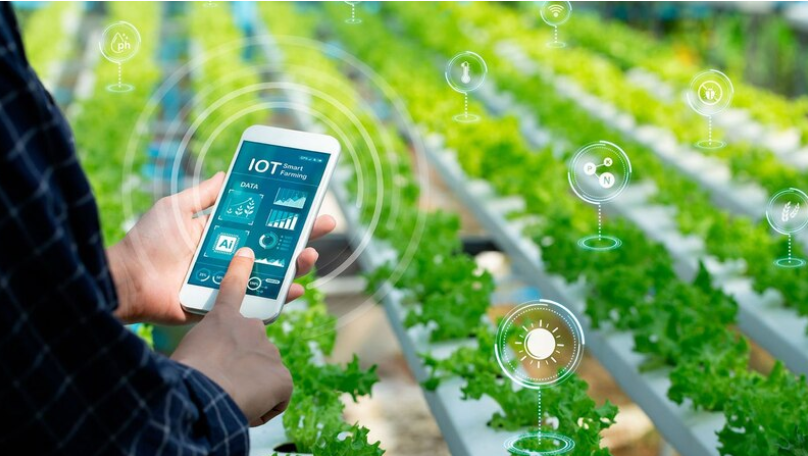 IA combate la escasez de agua en la agricultura mexicana